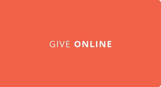 Give Online